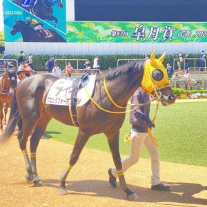 2023/4/9 3歳1勝クラス