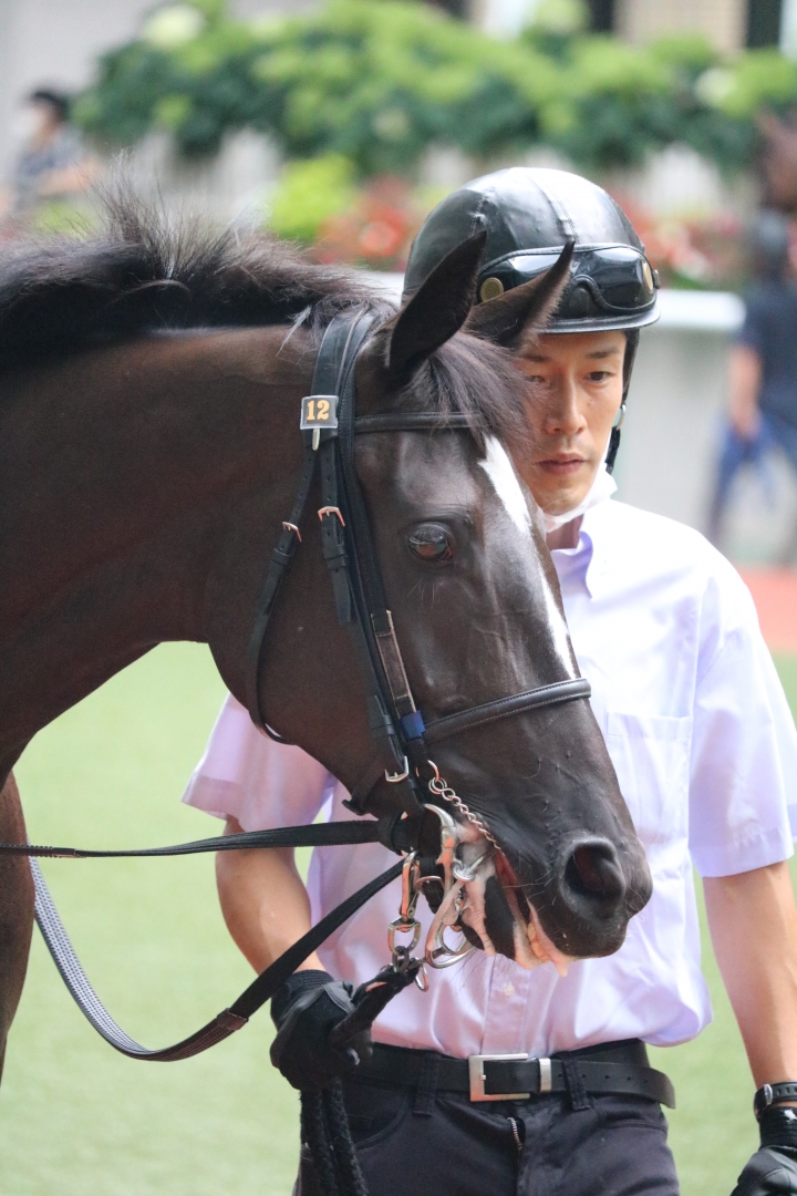 2022/7/23 2歳未勝利 エンジェリックアイ