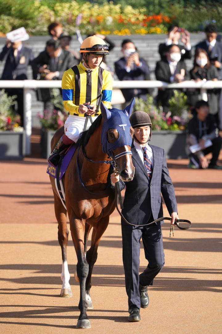 2023/10/22 菊花賞(G1) ソールオリエンス