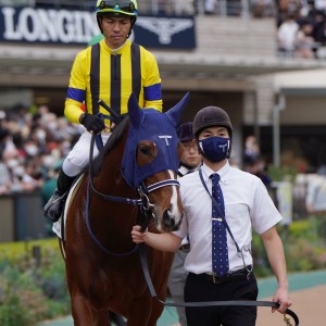 2022/11/13 2歳新馬