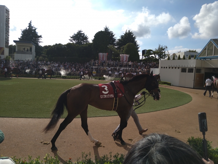 紫苑ステークスパドック ヒップホップソウル