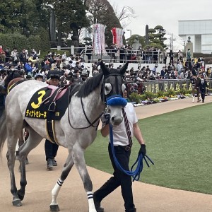 2023/3/12 アネモネS(OP)