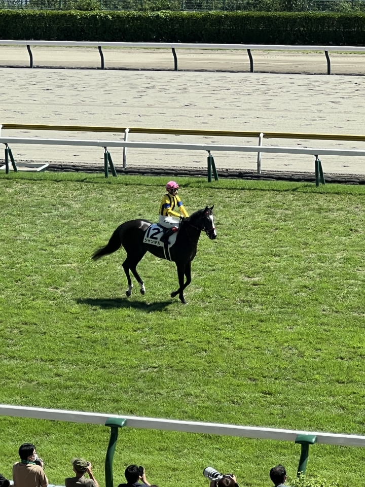 2022/9/4 2歳新馬 シャンデル