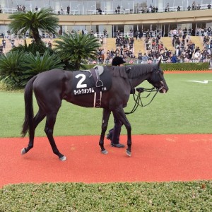 2024/2/4 小倉日経オープン(OP)