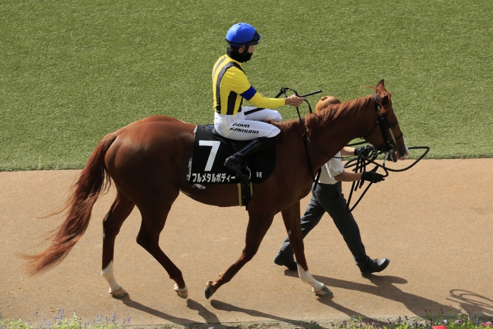 2023年9月 フルメタルボディー