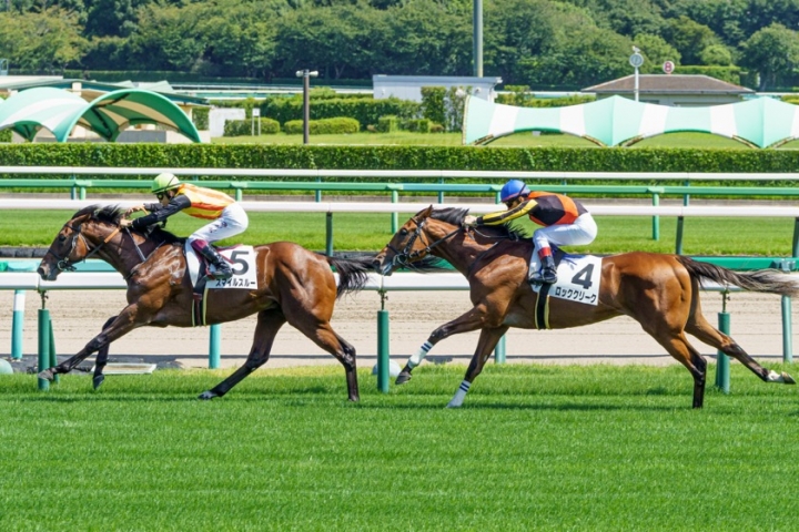 2022/9/10 2歳新馬 ロッククリーク