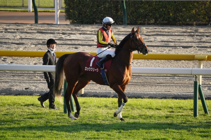 2022/11/19 東京スポーツ杯2歳S(G2) ロッククリーク