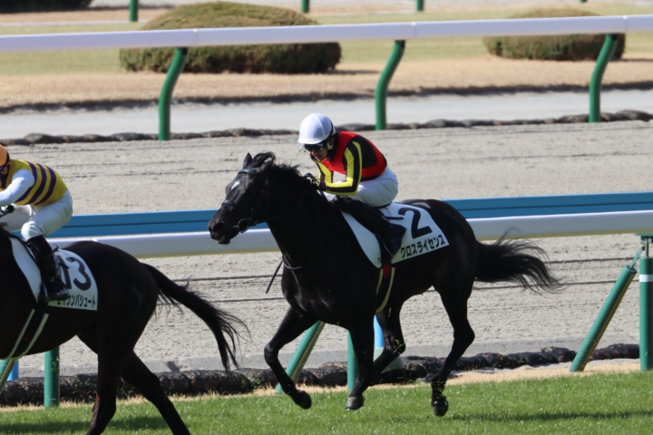 2025年1月 クロスライセンス