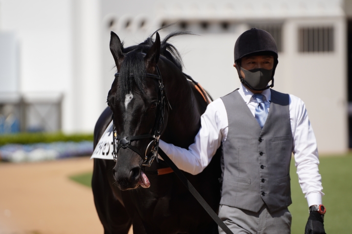 2023/4/1 3歳1勝クラス クロスライセンス