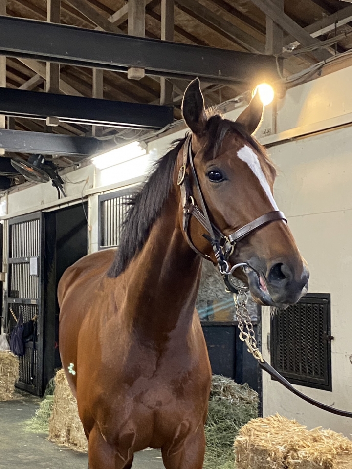 天栄 パルティキュリエ