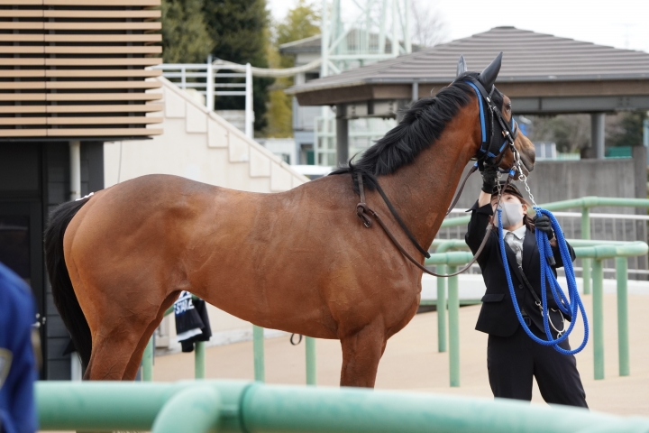 2023/2/25 3歳未勝利(牝) ドゥムーラン