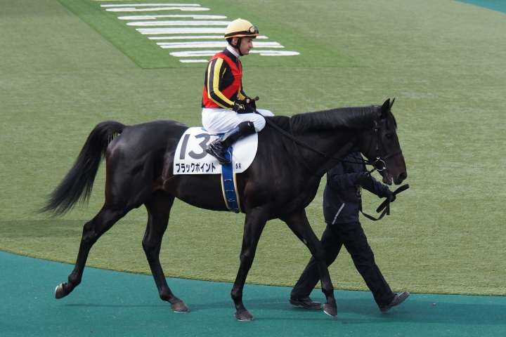 2022年11月 ブラックポイント