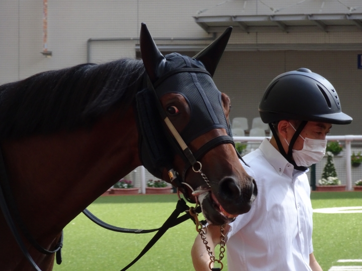 2022年10月 イストロス