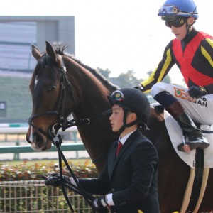 本馬場入場