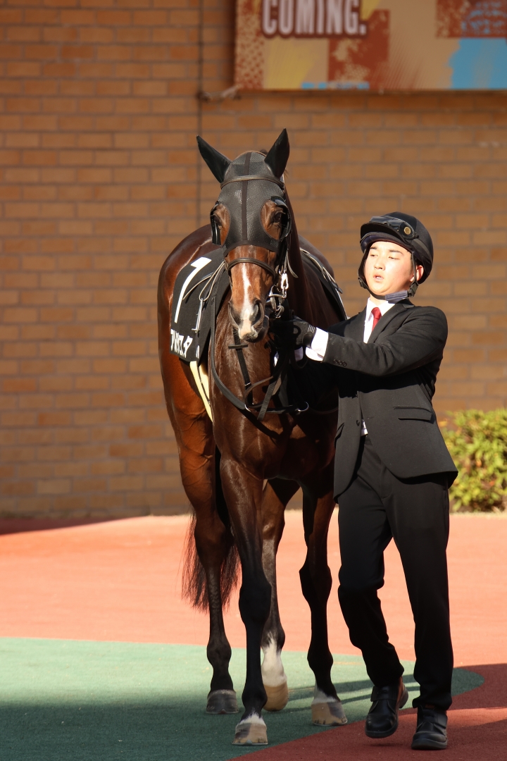 2024/11/30 犬山特別(2勝クラス) アルタビスタ