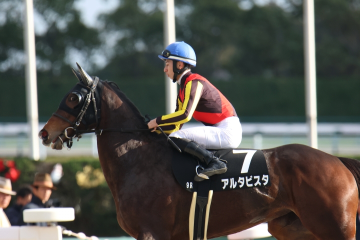 2024年11月 アルタビスタ