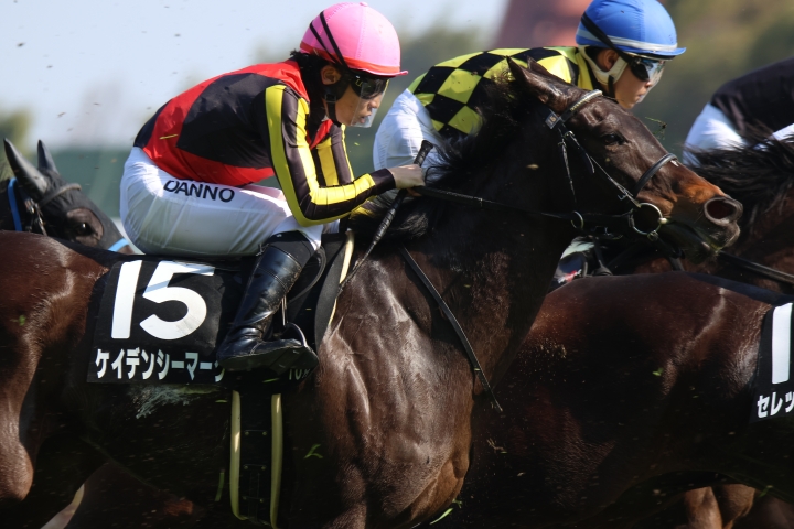 2025年3月 ケイデンシーマーク