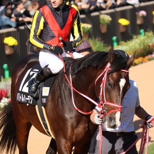 2024/10/20 キセキカップ(3勝クラス)