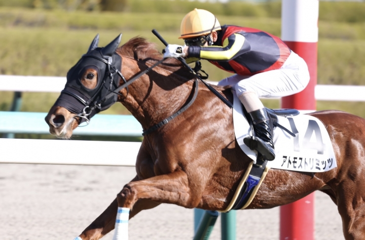 2022年12月 アトモストリミッツ