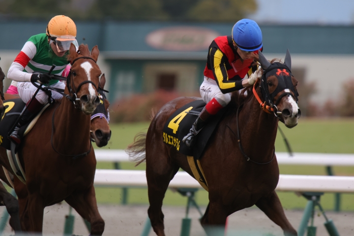 2023年1月 ダルエスサラーム