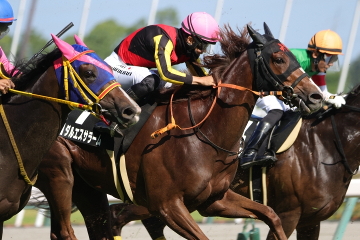 2023年7月 ダルエスサラーム