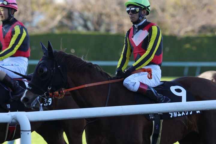 2023年12月 ダルエスサラーム