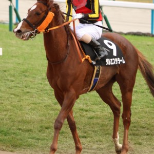 2024/11/24 清水S(3勝クラス)