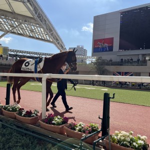 2022/11/5 2歳未勝利