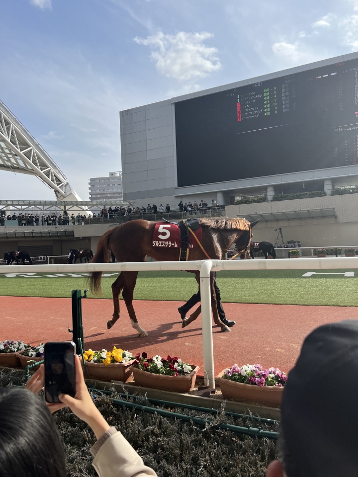 2023/3/4 チューリップ賞(G2) ダルエスサラーム