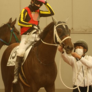 2024/12/1 3歳以上1勝クラス