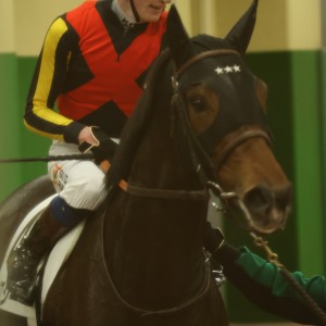 2022/12/10 2歳未勝利