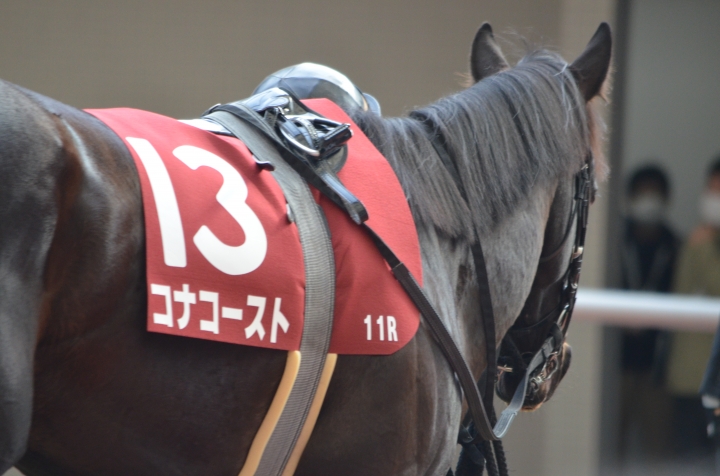 チューリップ賞パドック コナコースト
