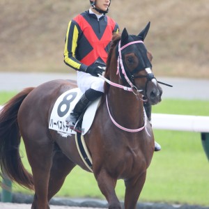 2022/9/11 2歳未勝利