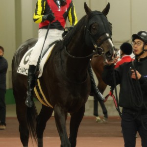 2023/12/2 3歳以上1勝クラス