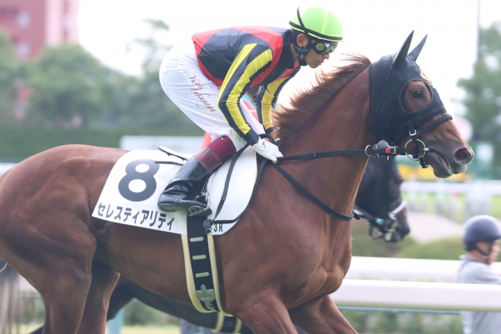 2022年9月 セレスティアリティ