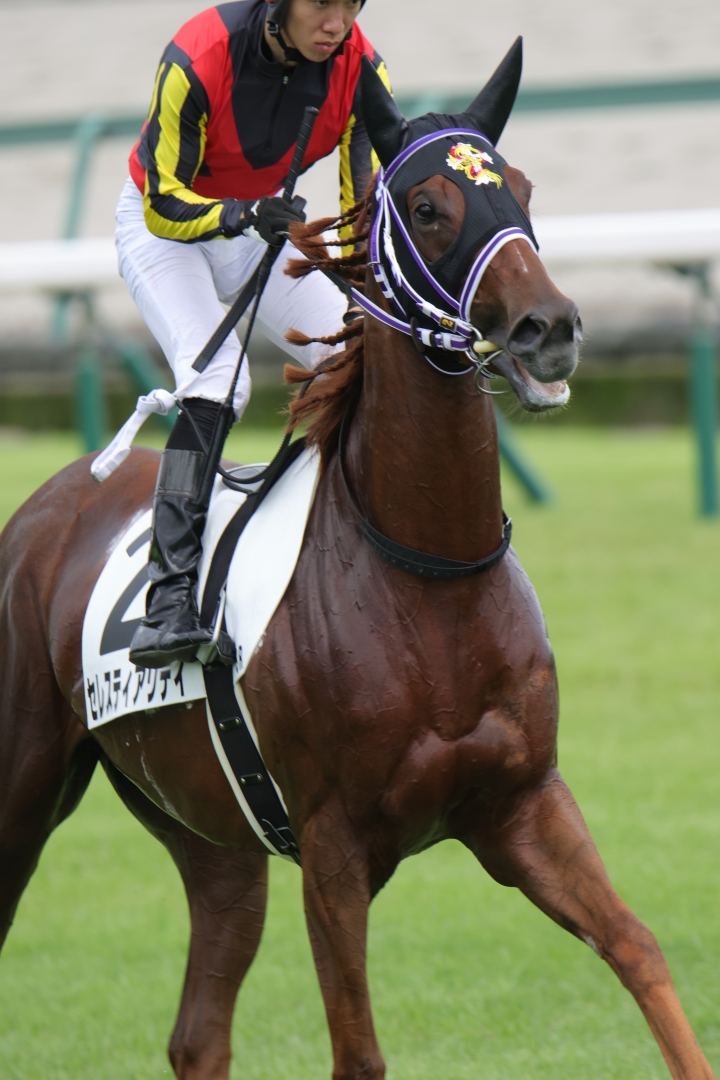 2023/7/15 3歳以上1勝クラス セレスティアリティ