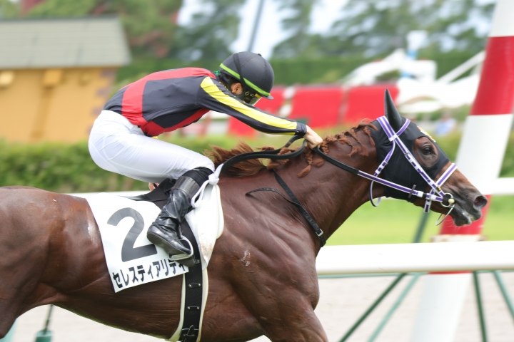 2023年7月 セレスティアリティ