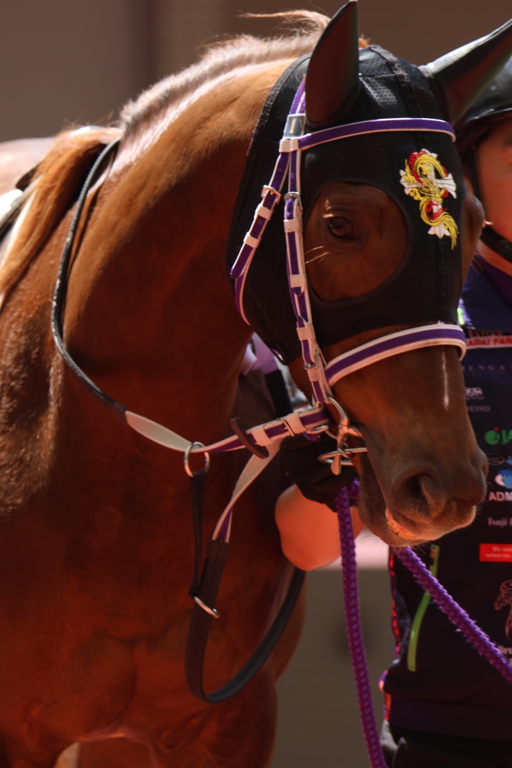 2024/3/30 4歳以上1勝クラス セレスティアリティ