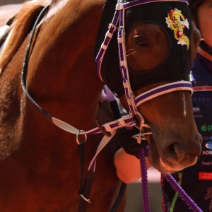 2024/3/30 4歳以上1勝クラス