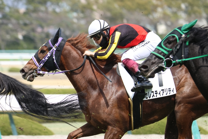 2024年3月 セレスティアリティ