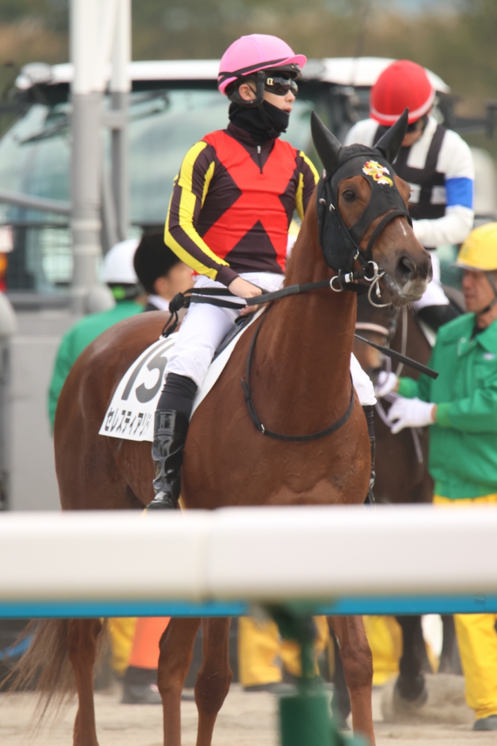 2024/12/21 3歳以上1勝クラス(牝) セレスティアリティ