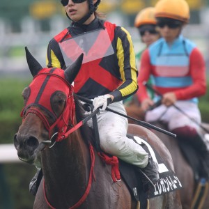 2025/10/4 大山崎S(3勝クラス)