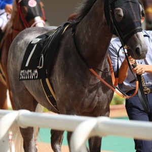 2025/9/14 仲秋S(3勝クラス)