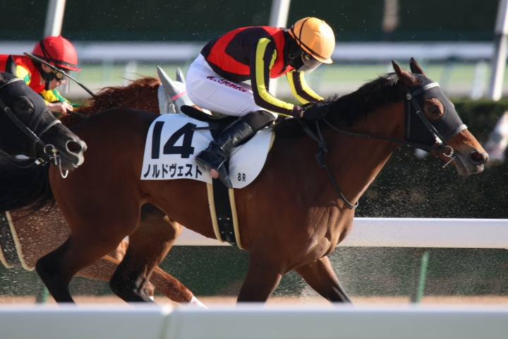 2024年12月 ノルドヴェスト