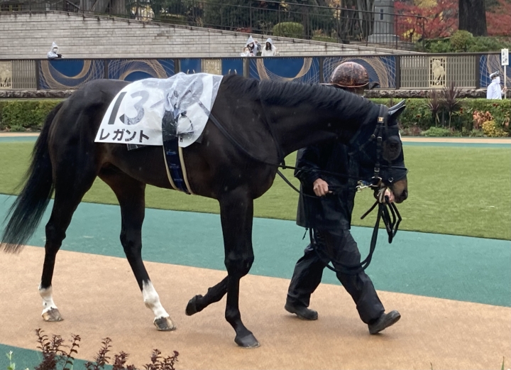 2022/11/26 2歳未勝利 レガント