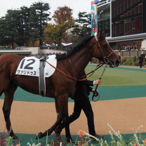 2022/11/26 2歳新馬