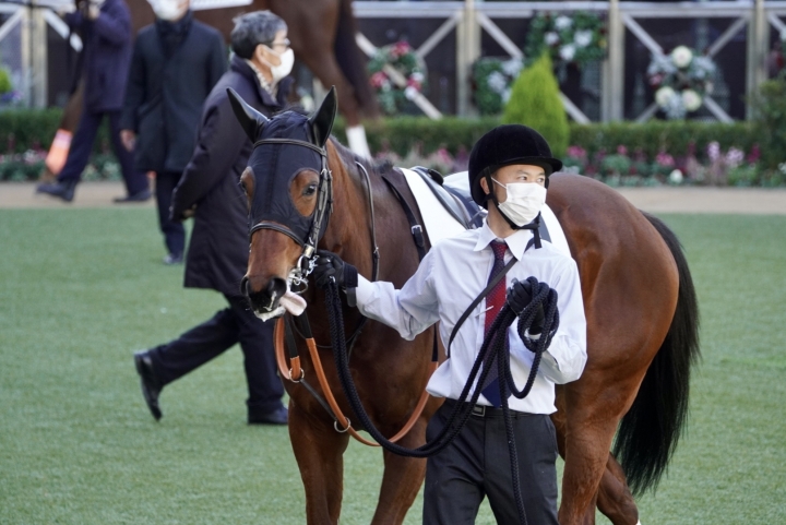 2023/1/9 3歳新馬(牝) フラットコール