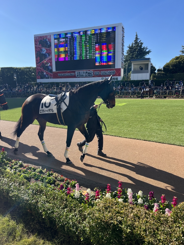 2024/12/1 3歳以上1勝クラス(牝) ロフティーイデアル