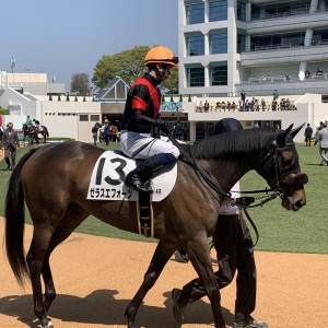 デビュー戦　中山4レース4/1