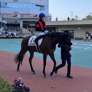 2023/1/9 3歳未勝利